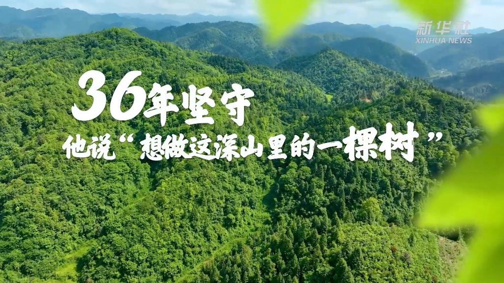 36年堅守！他說“想做這深山里的一棵樹”