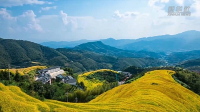 江西崇義：巧用農業文化遺產助推鄉村振興