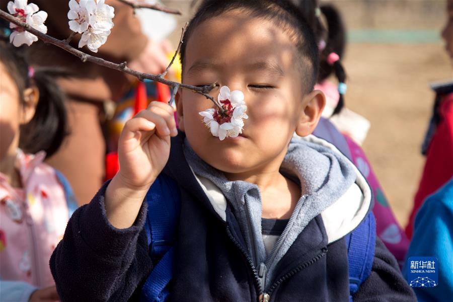 #（社會(huì)）（5）擁抱春天 樂享春光