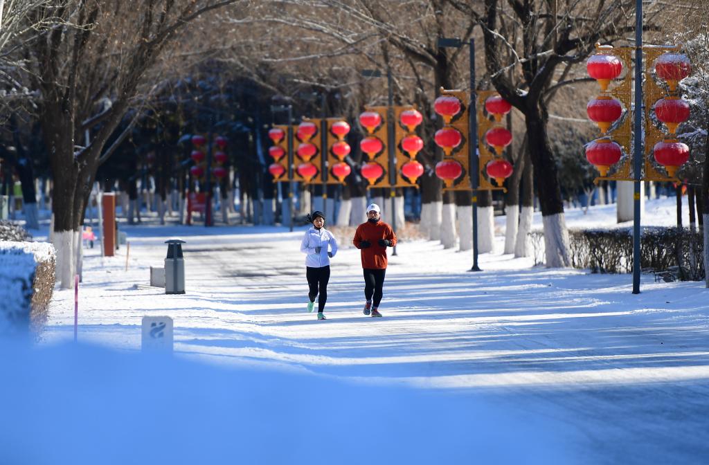 沈陽(yáng)：瑞雪迎春