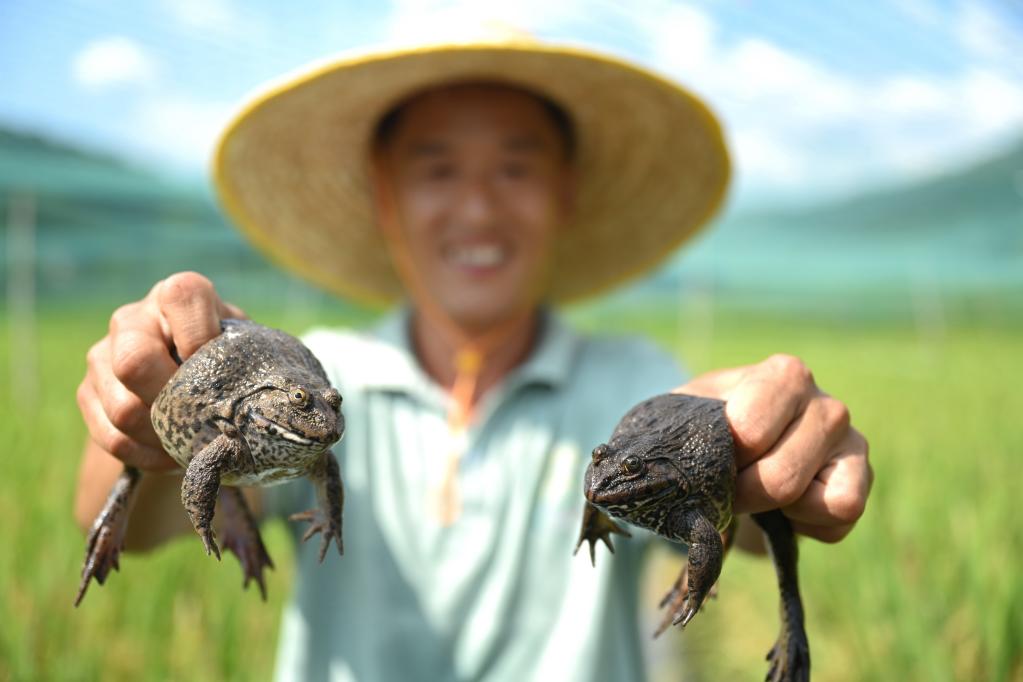 福建建甌：農業特色產業勃興