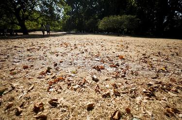 英國宣布多地進入干旱狀態