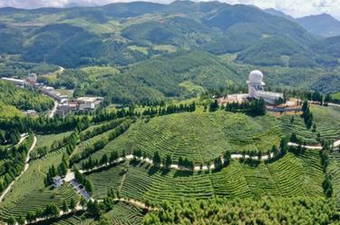 福建大湖鄉：“多元種植”助推鄉村振興