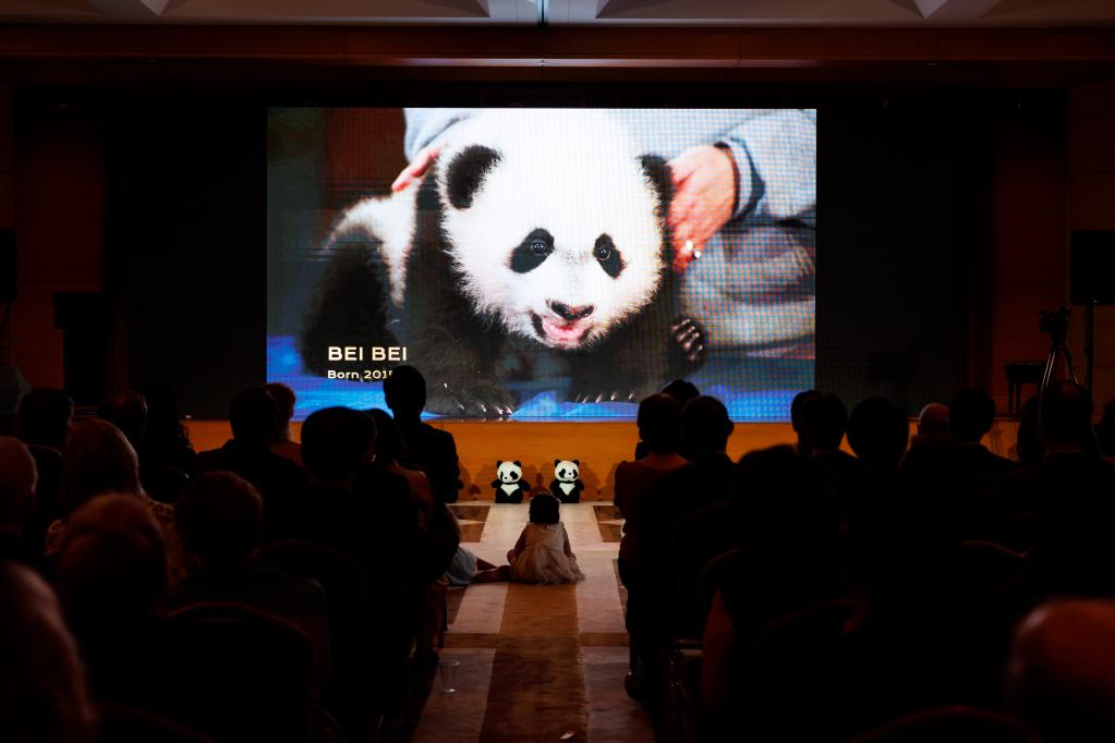 中國駐美使館同美國史密森學(xué)會國家動(dòng)物園聯(lián)合舉辦“大熊貓之夜”招待會