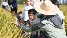 農(nóng)場(chǎng)里的幼兒自然課