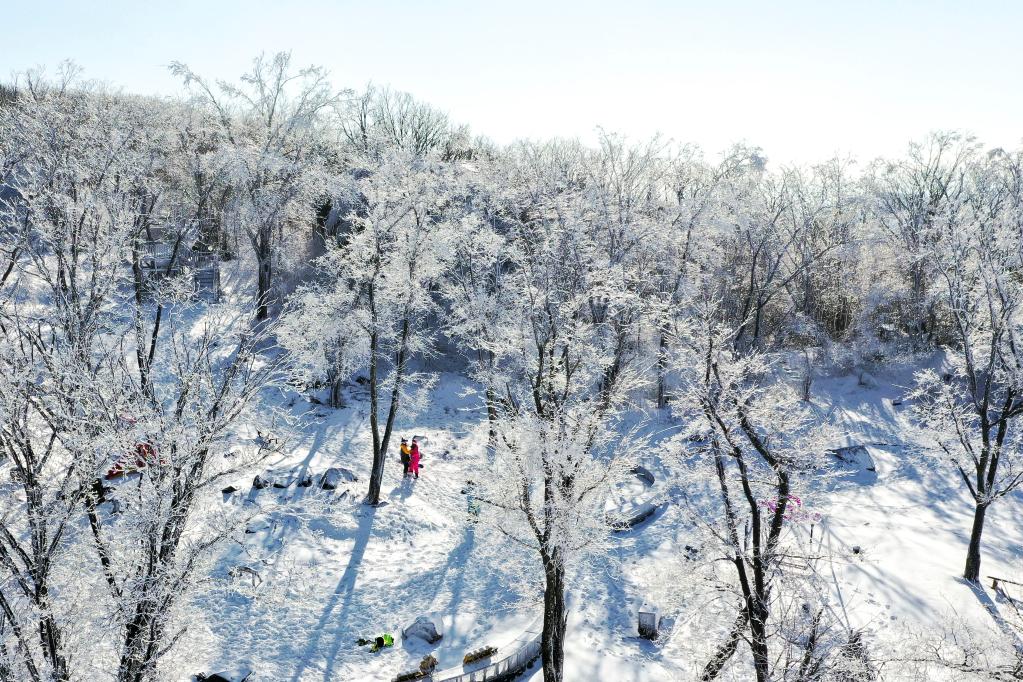 新華全媒+丨吉林：“冬閑”變“冬忙” “冰雪經濟”拓寬致富路