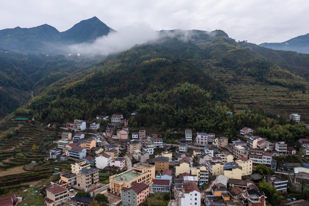 浙江青田：僑鄉山村華麗蛻變 助力鄉村振興