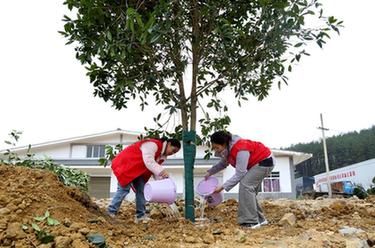 貴州：義務植樹為大地添綠