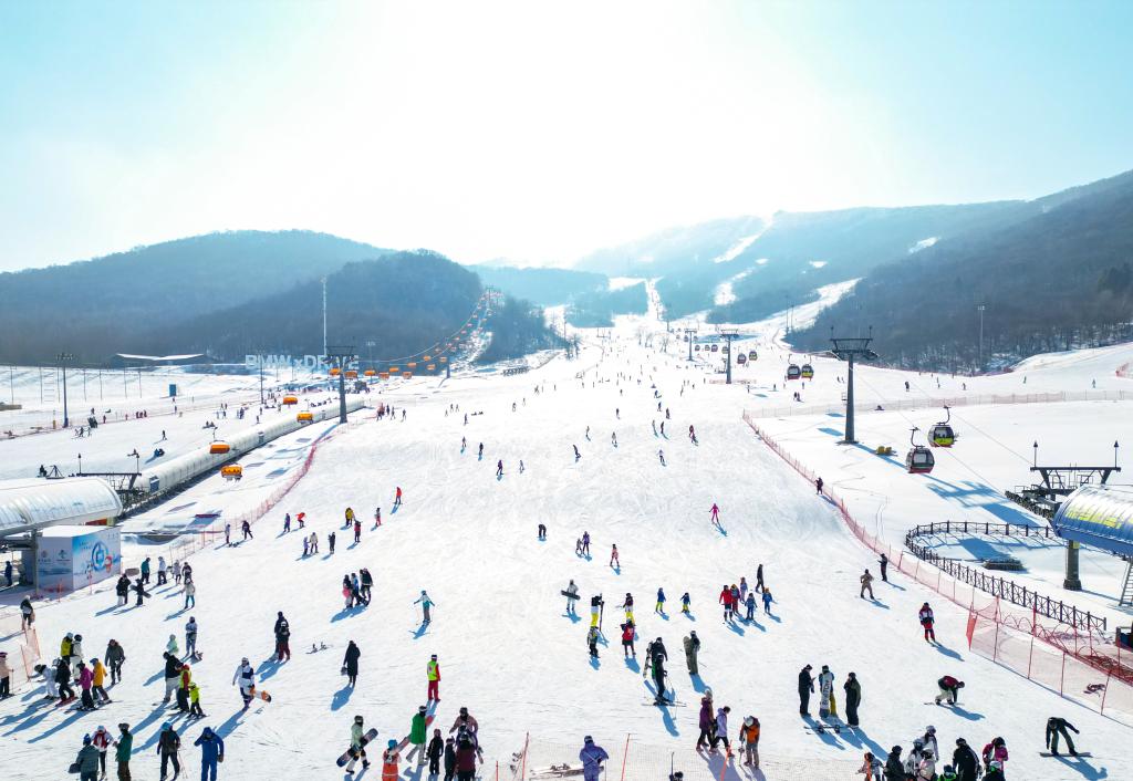 新華全媒＋丨熱“雪”沸騰享歡樂——盤點濃濃年味帶旺冰雪經濟