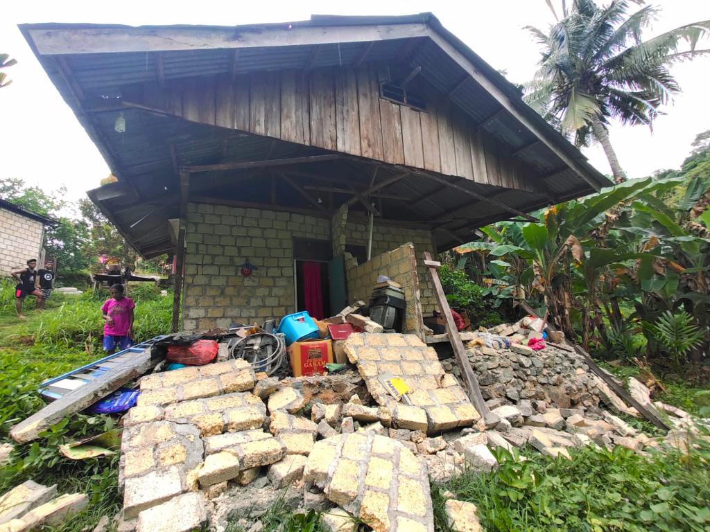 印尼發生5.2級地震致4人死亡