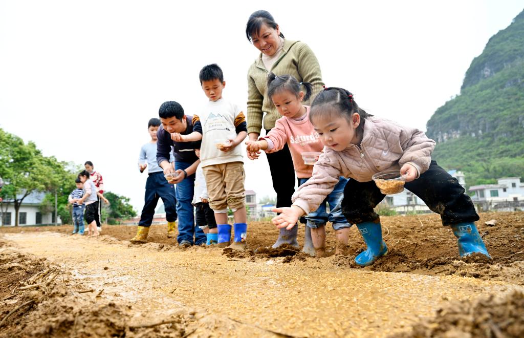 廣西柳州：體驗(yàn)農(nóng)耕文化 感受田間樂趣