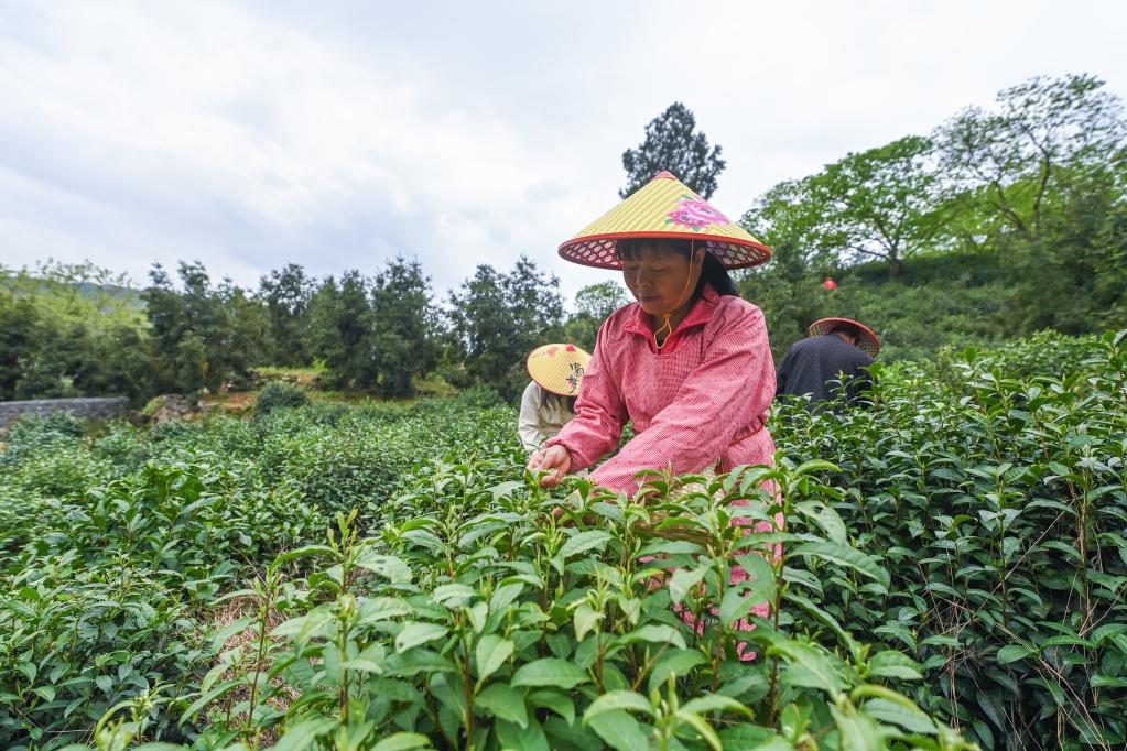 鄉村共富工坊助力百姓就業增收