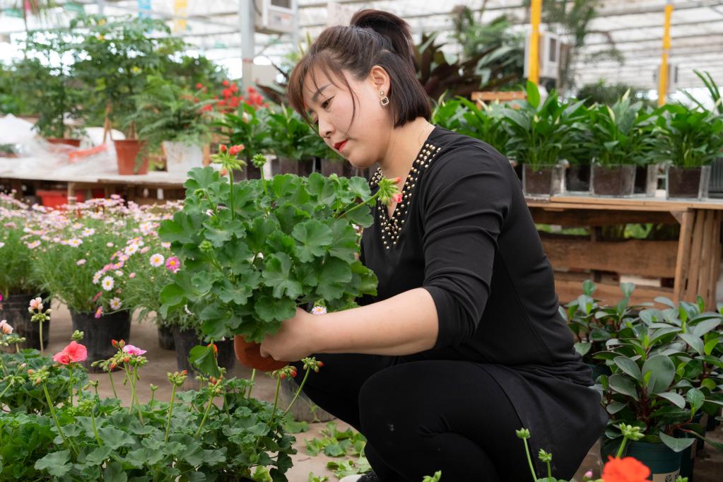 鮮花迎客來 產業(yè)助振興