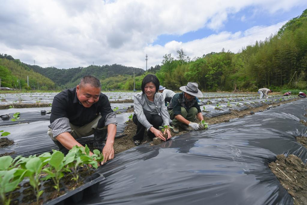 “聚一起 才更牛” 返鄉(xiāng)創(chuàng)業(yè)人才助農增收