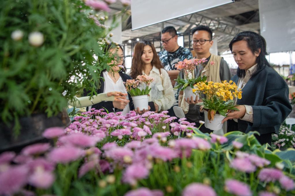 重慶大足：花卉產業為鄉村振興添香增色