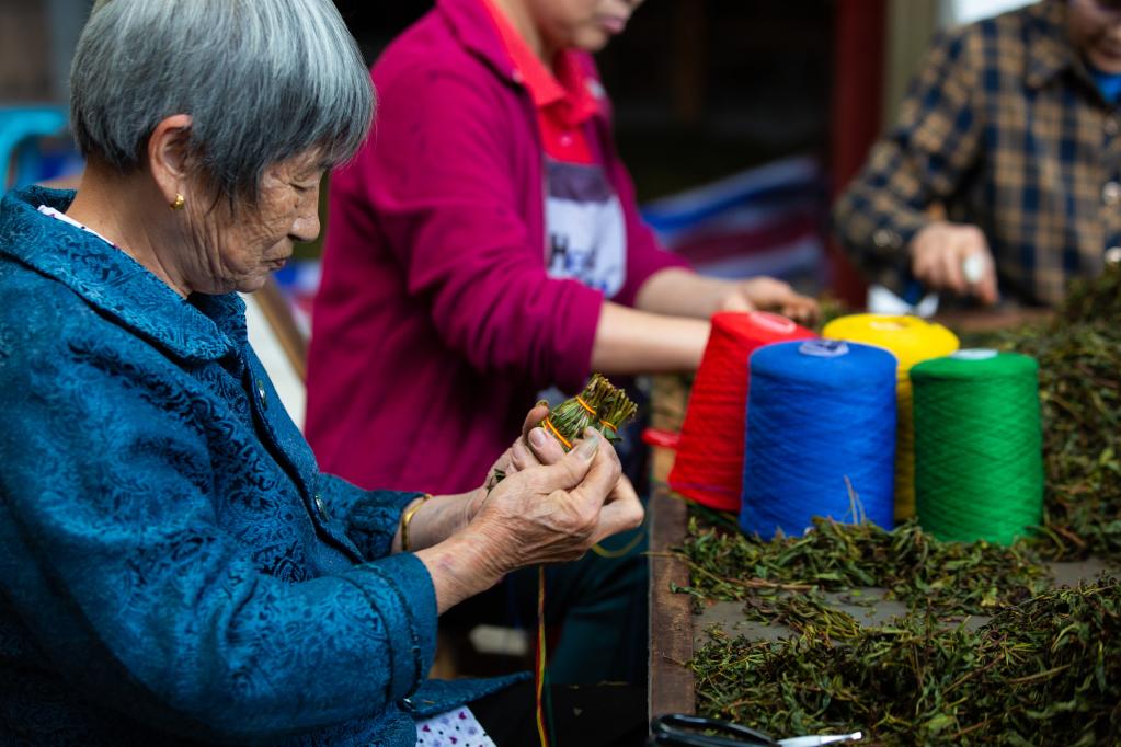 福建武夷山：制作傳統龍須茶