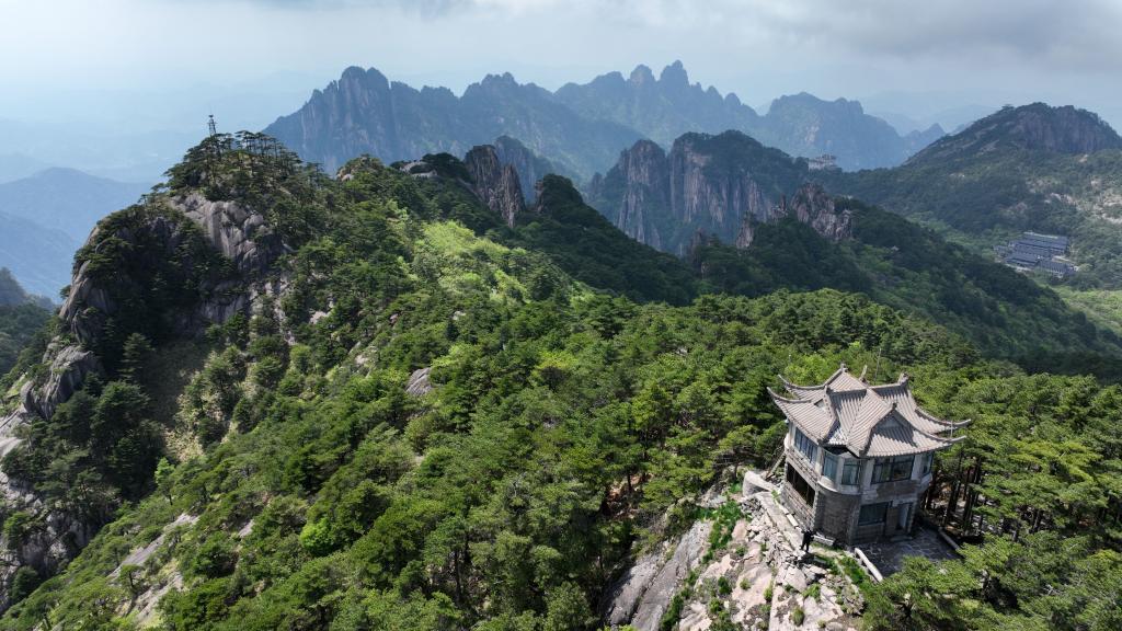 “俯仰”之間守護美麗黃山