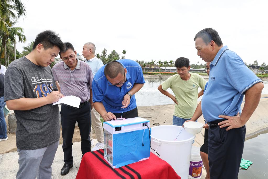 波紋唇魚全人工繁育技術在海南取得突破