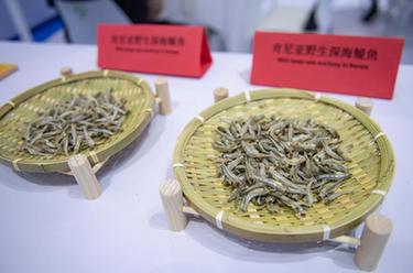 中國首次進口肯尼亞野生鳀魚產(chǎn)品亮相中非經(jīng)貿博覽會