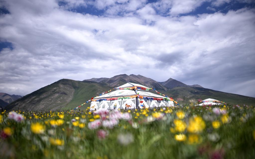 美麗中國(guó)丨祁連山之夏