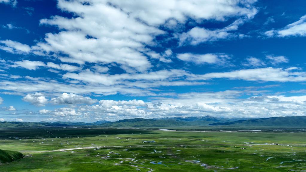 美麗中國(guó)丨夏日瑪曲濕地