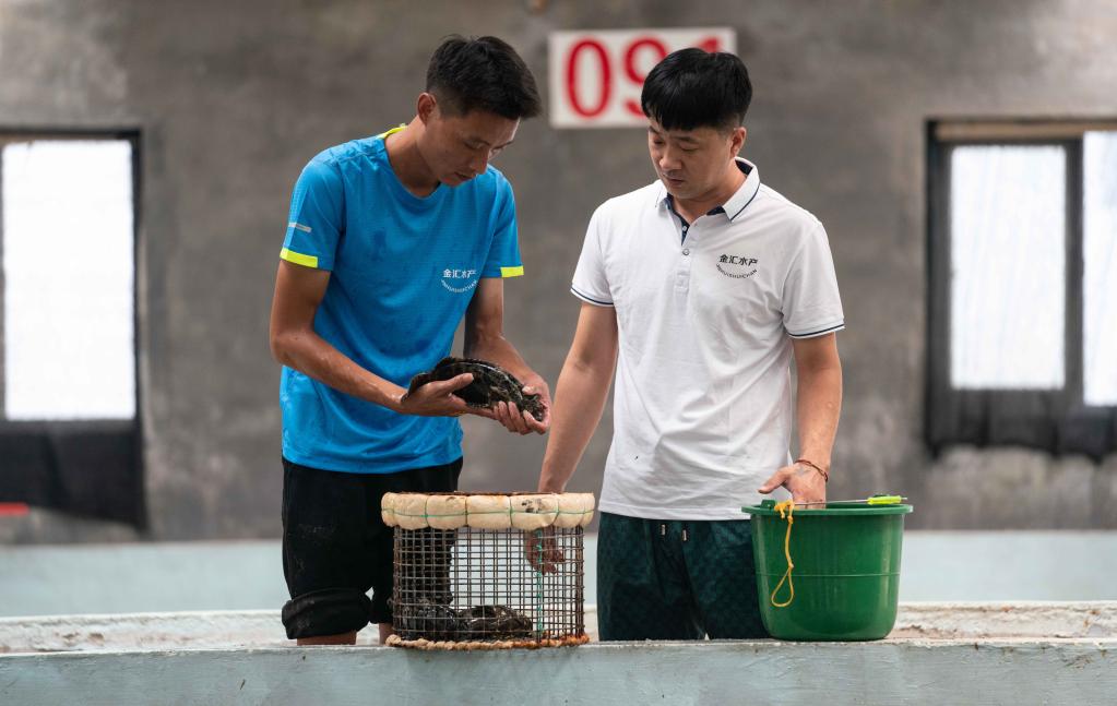 河北黃驊：水產養殖拓寬漁民增收致富渠道