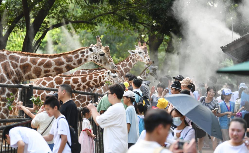 廣州動(dòng)物園毛孩子們的避暑“涼方”