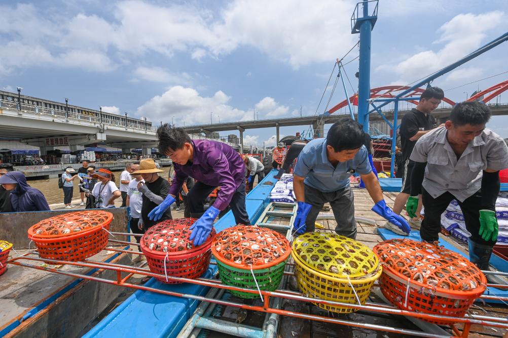 東海“小開(kāi)漁” 首批新鮮魚獲歸港