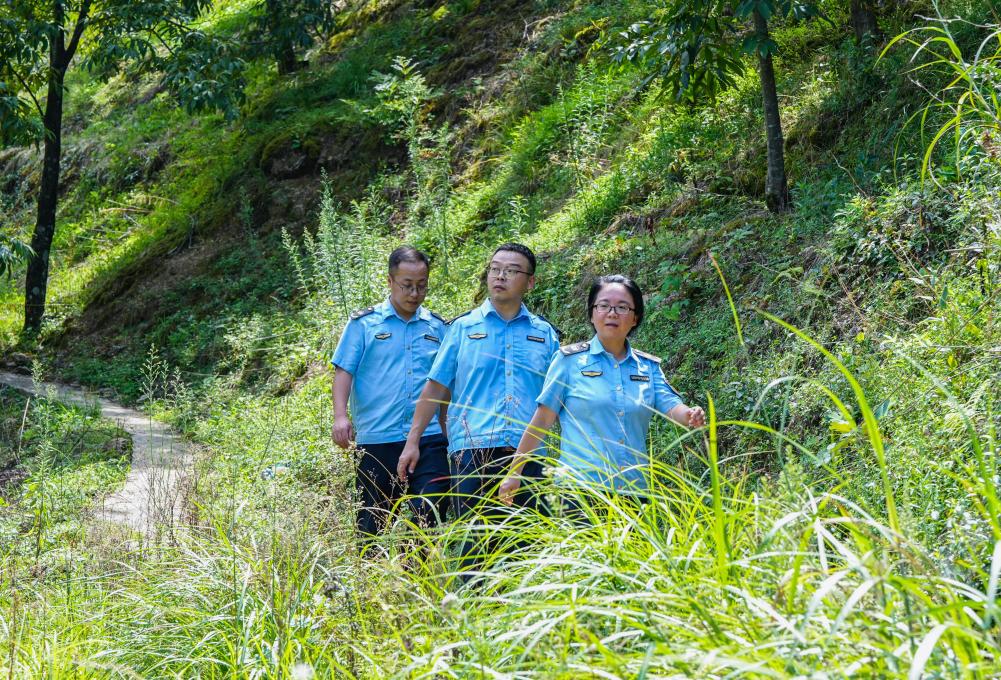 跨省聯防聯治推動清涼峰生態保護