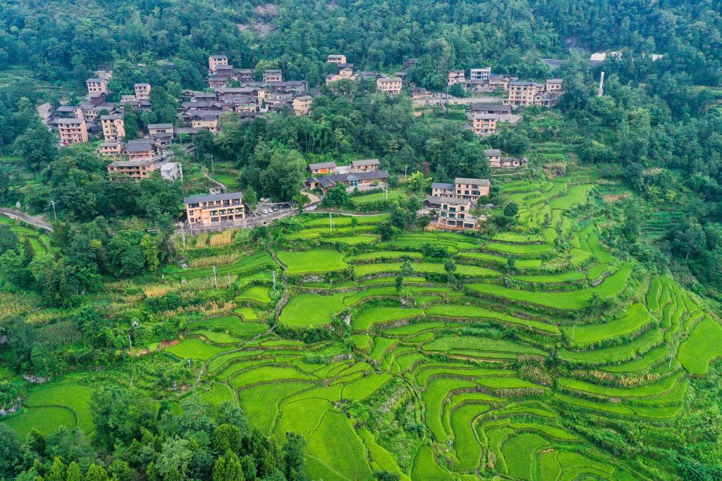 重慶酉陽：農文旅融合讓鄉村煥發新活力