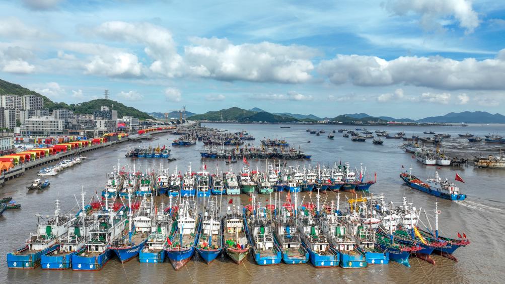 “海葵”逼近 浙江各地漁船回港避風(fēng)