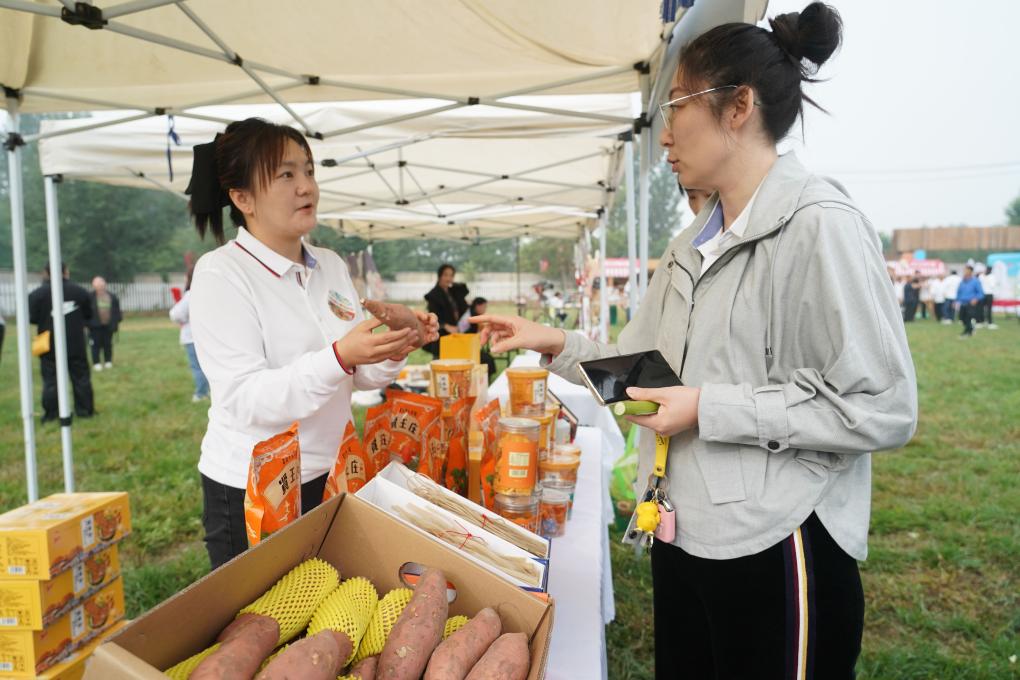 北京平谷：夏各莊鎮第五屆紅薯文化節開幕