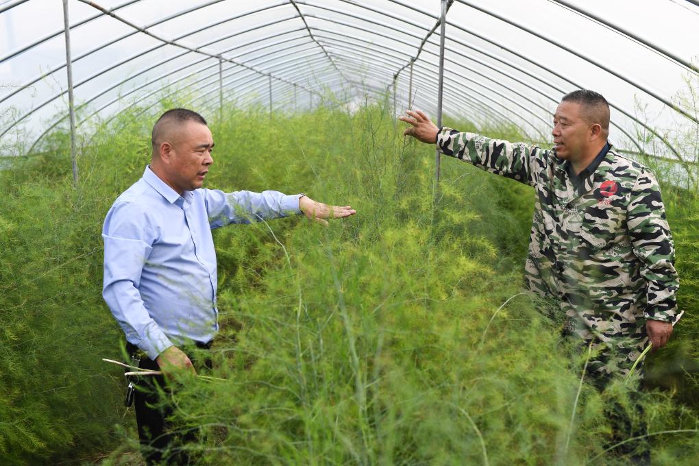 江蘇漣水：發揮人大代表優勢 助力鄉村振興