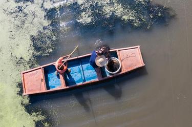 浙江湖州：特色太湖蟹養殖助力鄉村共同富裕