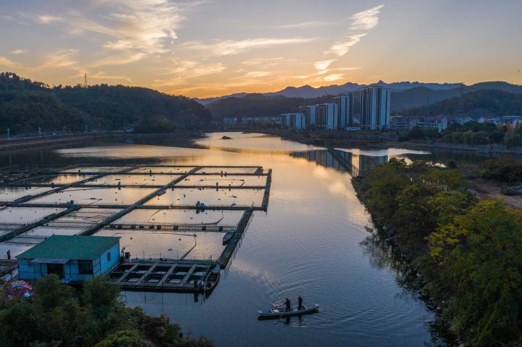 浙江建德：特色種養(yǎng)殖產(chǎn)業(yè)助力文旅消費新活力