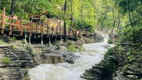 “魯中川藏線”鋪就鄉村振興路