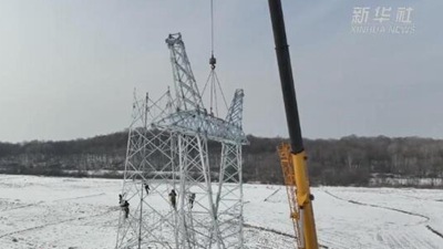 黑龍江優質稻米產區電力工程建設火熱展開