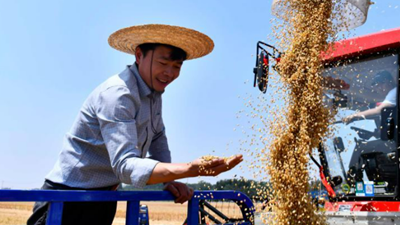 廣開食源耘天下——探尋“大食物觀”在基層的生動實踐